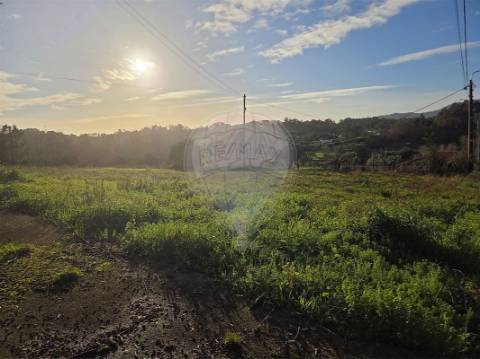 Terreno  para venda