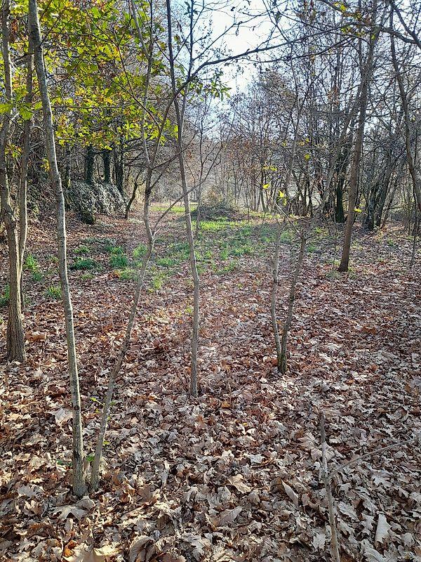 Terreno  para venda