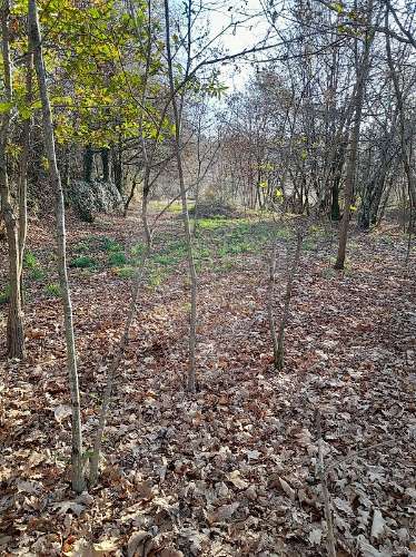 Terreno  para venda