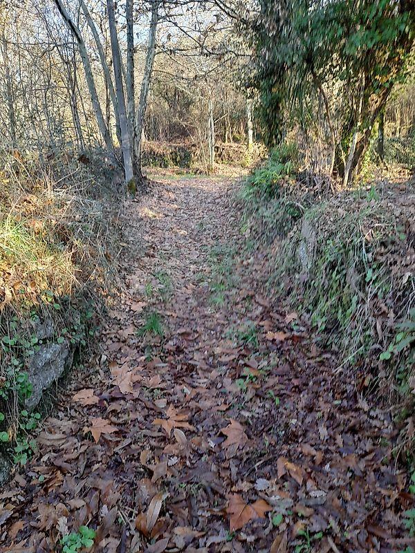Terreno  para venda