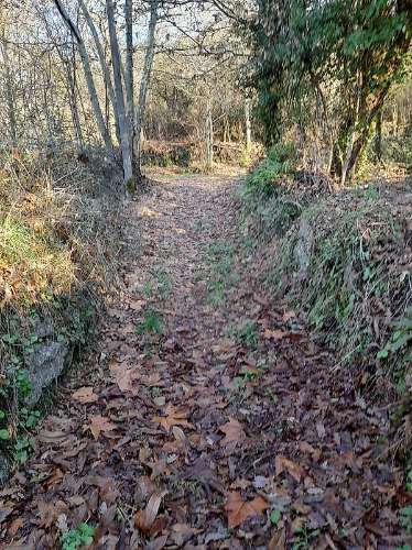 Terreno  para venda