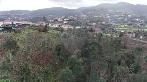 Terreno  para venda