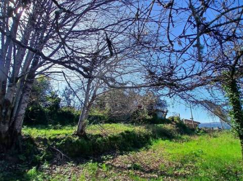 Terreno  para venda