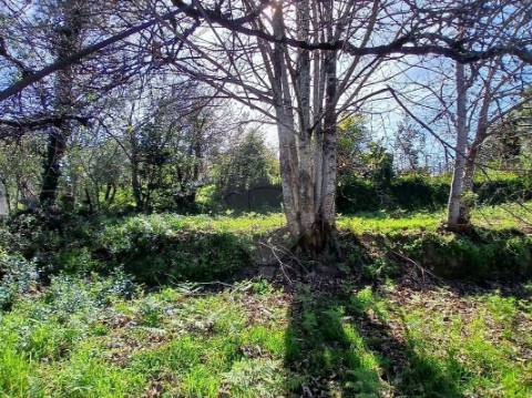 Terreno  para venda