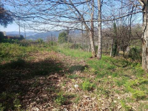 Terreno  para venda