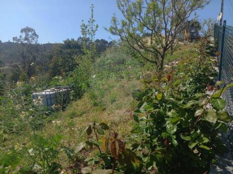 Terreno  para venda