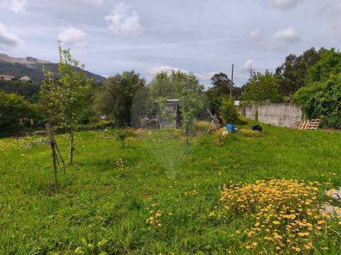 Terreno  para venda