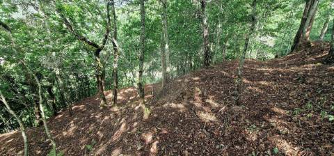 Terreno  para venda