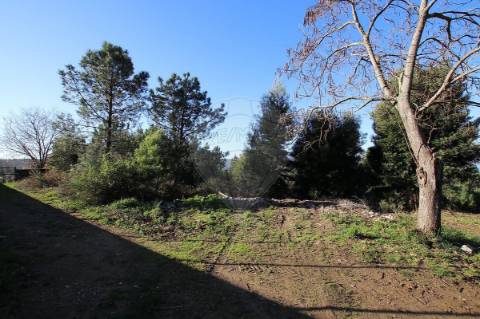 Terreno  para venda