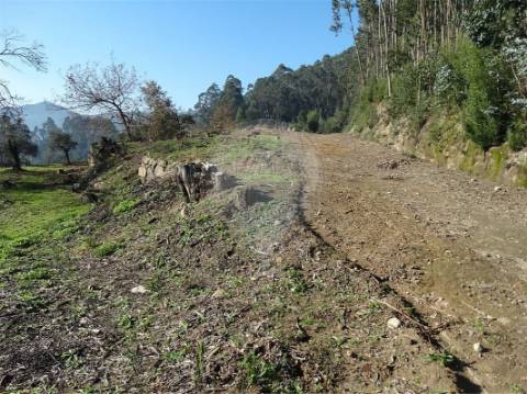 Moradia T0 para venda
