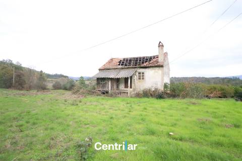 🌿 Quinta com 7,5 hectares e uma moradia em Fornos de Algodres 🌳