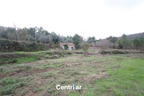 🌿 Quinta com 7,5 hectares e uma moradia em Fornos de Algodres 🌳
