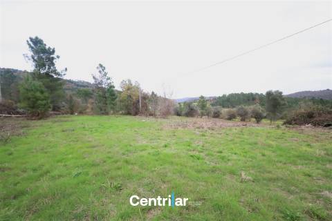 🌿 Quinta com 7,5 hectares e uma moradia em Fornos de Algodres 🌳