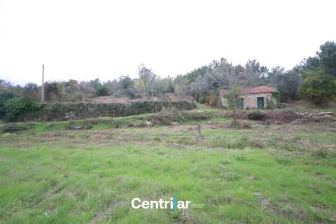 🌿 Quinta com 7,5 hectares e uma moradia em Fornos de Algodres 🌳