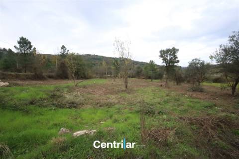 🌿 Quinta com 7,5 hectares e uma moradia em Fornos de Algodres 🌳