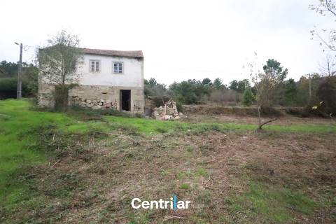 🌿 Quinta com 7,5 hectares e uma moradia em Fornos de Algodres 🌳