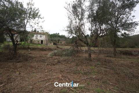 🌿 Quinta com 7,5 hectares e uma moradia em Fornos de Algodres 🌳
