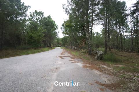 🌿 Quinta com 7,5 hectares e uma moradia em Fornos de Algodres 🌳