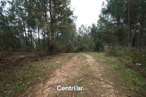 🌿 Quinta com 7,5 hectares e uma moradia em Fornos de Algodres 🌳