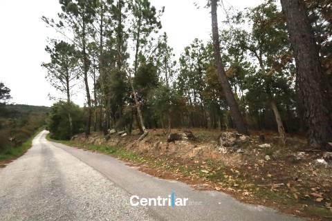 🌿 Quinta com 7,5 hectares e uma moradia em Fornos de Algodres 🌳