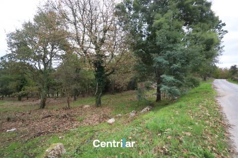 🌿 Quinta com 7,5 hectares e uma moradia em Fornos de Algodres 🌳