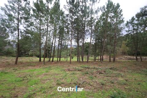 🌿 Quinta com 7,5 hectares e uma moradia em Fornos de Algodres 🌳