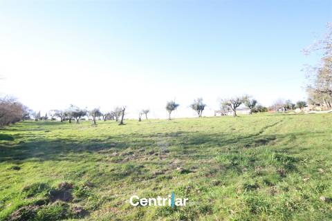 Terreno agrícola de 5 hectares com água e bons acessos
