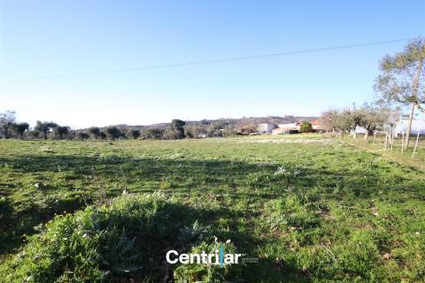 Terreno agrícola de 5 hectares com água e bons acessos