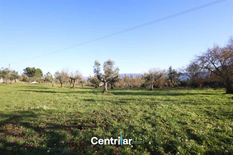 Terreno agrícola de 5 hectares com água e bons acessos