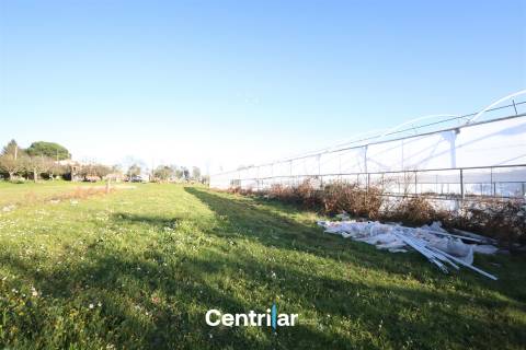 Terreno agrícola de 5 hectares com água e bons acessos