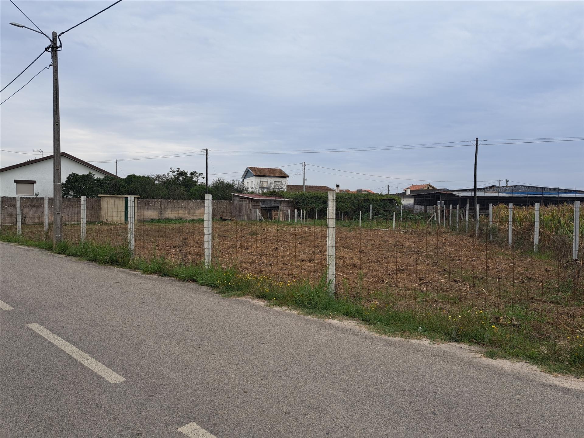 Terreno Para Construção  Venda em Monte,Murtosa