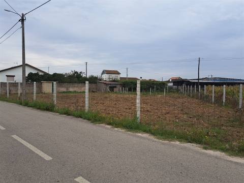 Terreno Para Construção  Venda em Monte,Murtosa