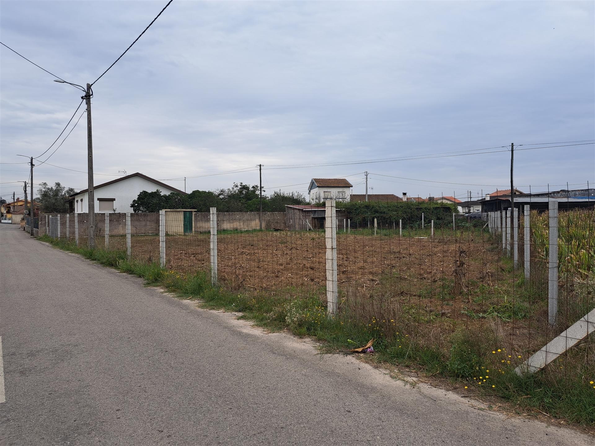 Terreno Para Construção  Venda em Monte,Murtosa