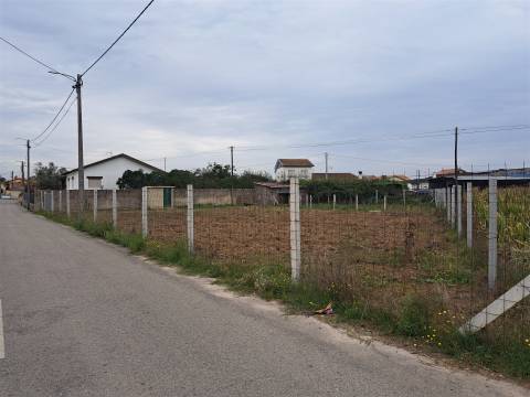 Terreno Para Construção  Venda em Monte,Murtosa