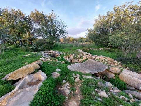 Terreno rustico de 3.040m2 perto de Estoi