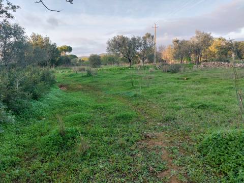 Terreno rustico de 3.040m2 perto de Estoi