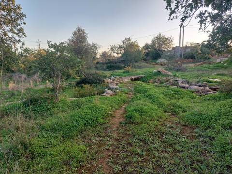 Terreno rustico de 3.040m2 perto de Estoi