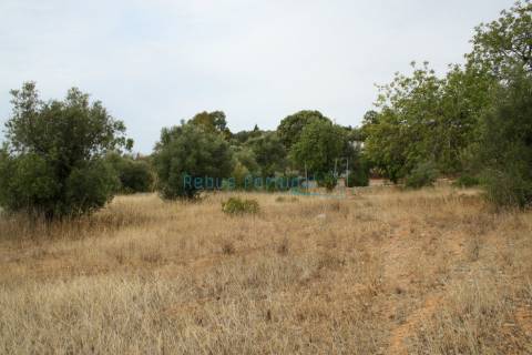 Terreno com ruína para reconstrução e ampliação