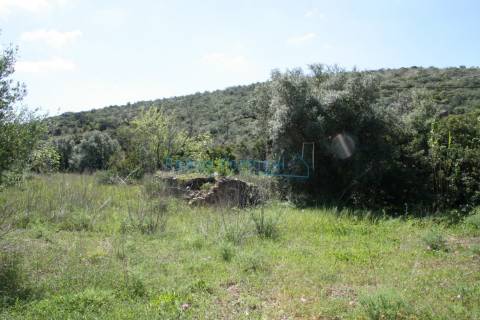 Terreno com ruína para reconstrução e ampliação