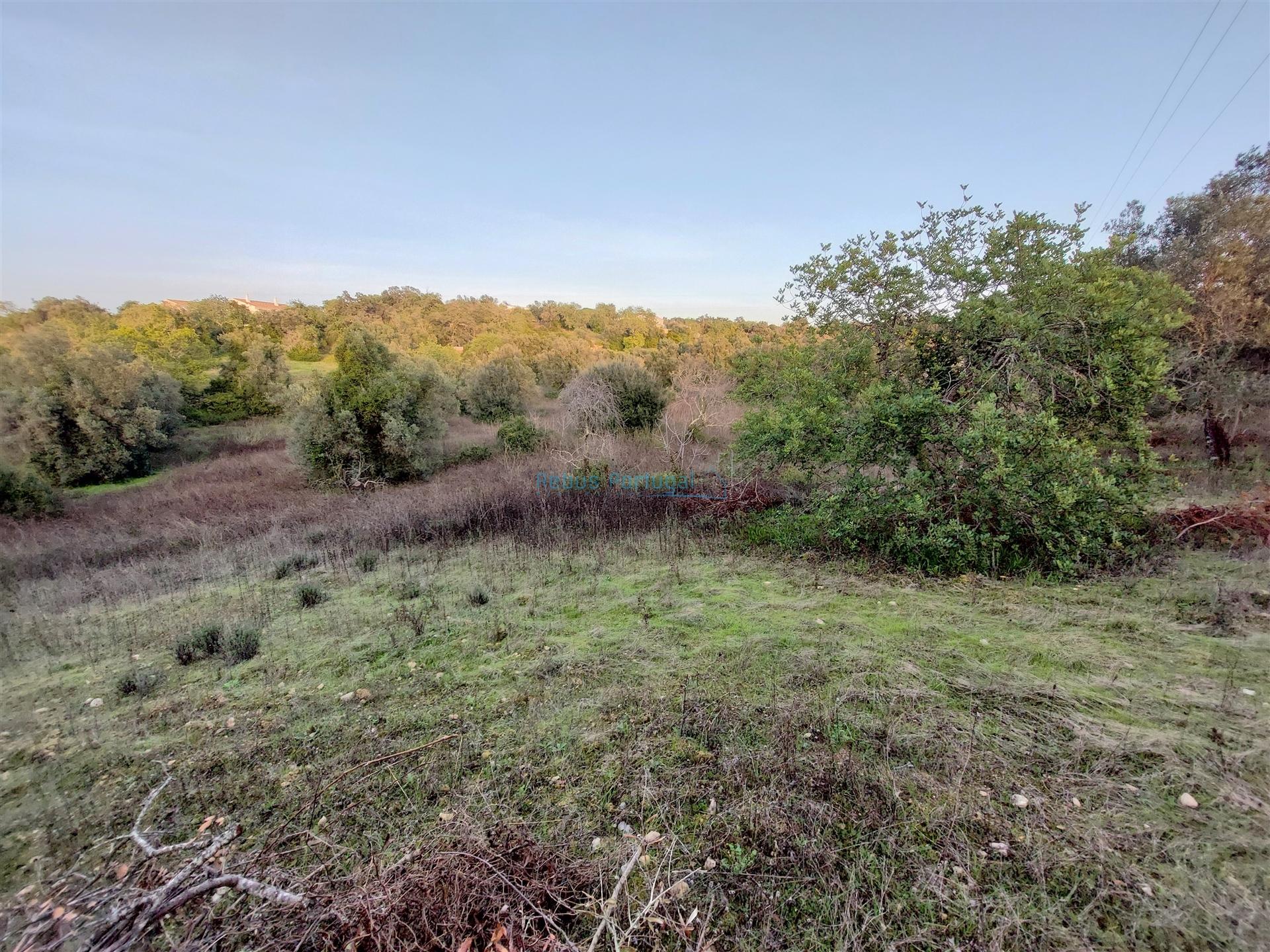 Terreno Rústico com Vistas campo – 10.800m2