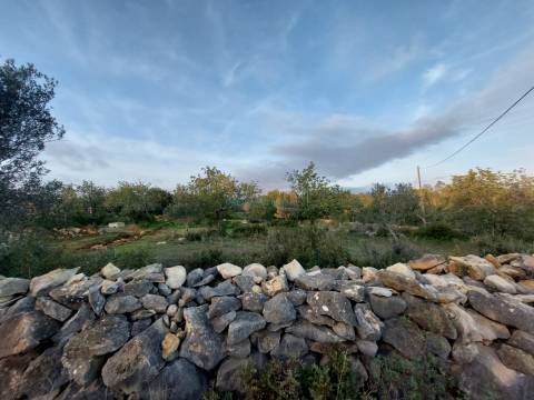 Terreno rustico de 3.040m2 perto de Estoi