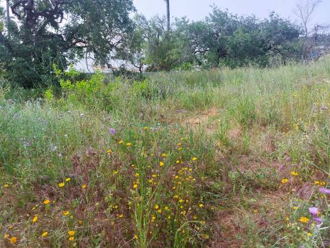 Terreno com Projeto Aprovado e Vista Mar de 180º | A 5 Minutos de Loulé