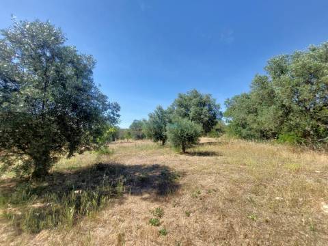 Terreno Exclusivo com Projeto Aprovado Pronto a Construir