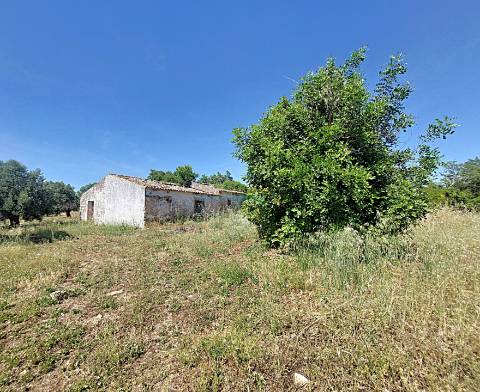 Terreno Exclusivo com Projeto Aprovado Pronto a Construir