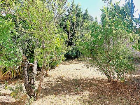 Quinta com 455m2 de área de construção, Carácter Único para Projeto Residencial ou Turístico