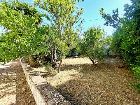 Quinta com 455m2 de área de construção, Carácter Único para Projeto Residencial ou Turístico