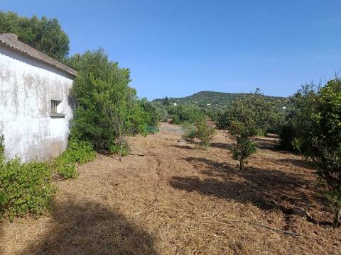 Quinta com 455m2 de área de construção, Carácter Único para Projeto Residencial ou Turístico