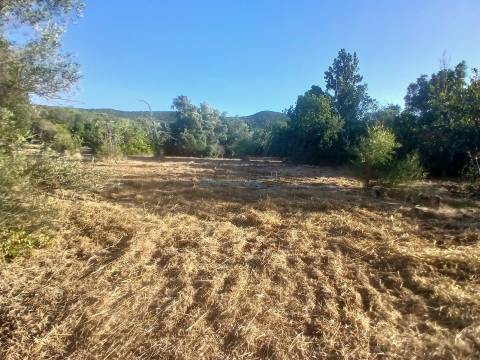 Quinta com 455m2 de área de construção, Carácter Único para Projeto Residencial ou Turístico