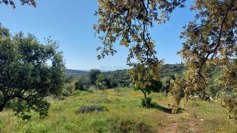 Terreno Exclusivo com Vista Mar e Elevado Potencial de Construção - Quinta das Raposeiras