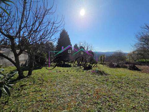 Terreno  Venda em Pinheiro da Bemposta, Travanca e Palmaz,Oliveira de Azeméis